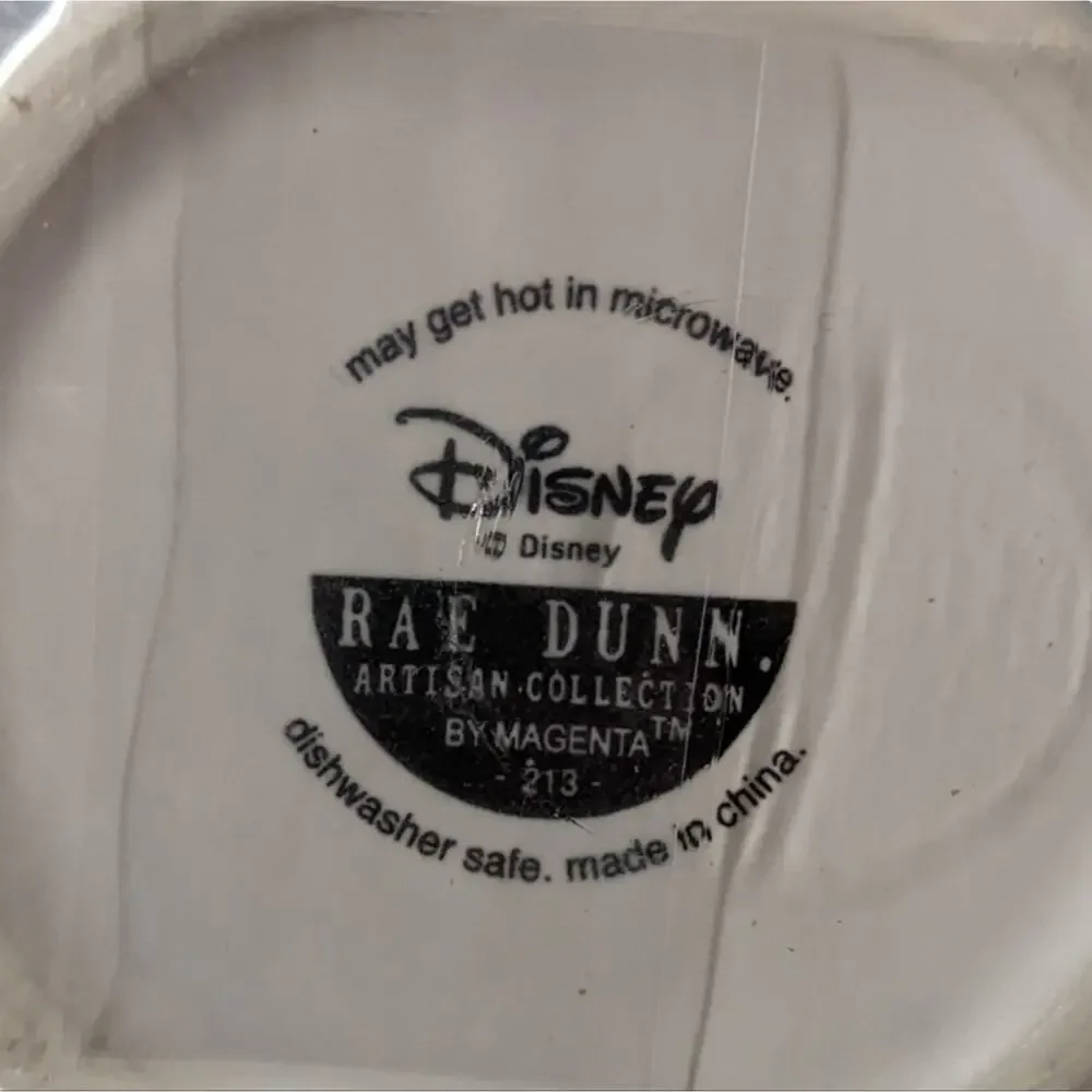 Disney new rae